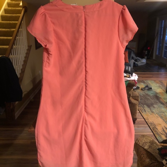 Pink Japna Dress - Picture 2 of 4